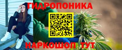 a pvp Малгобек